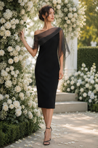 Sheer Overlay Asymmetrical One-Shoulder Midi Dress